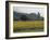 Field of Sunflowers Near Ferrassieres, Drome, Rhone Alpes, France-Michael Busselle-Framed Photographic Print