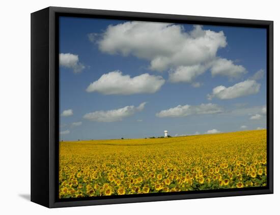 Field of Sunflowers with Water Tower in Distance, Charente, France, Europe-Groenendijk Peter-Framed Premier Image Canvas