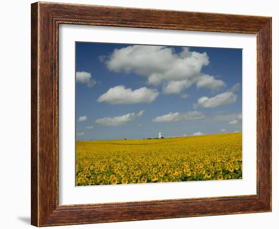 Field of Sunflowers with Water Tower in Distance, Charente, France, Europe-Groenendijk Peter-Framed Photographic Print