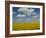 Field of Sunflowers with Water Tower in Distance, Charente, France, Europe-Groenendijk Peter-Framed Photographic Print