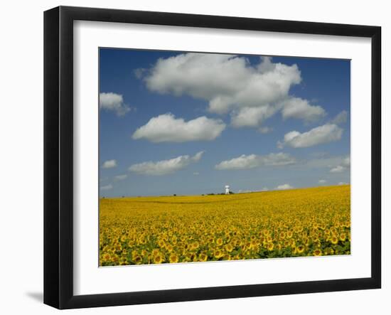 Field of Sunflowers with Water Tower in Distance, Charente, France, Europe-Groenendijk Peter-Framed Photographic Print