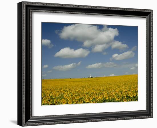 Field of Sunflowers with Water Tower in Distance, Charente, France, Europe-Groenendijk Peter-Framed Photographic Print