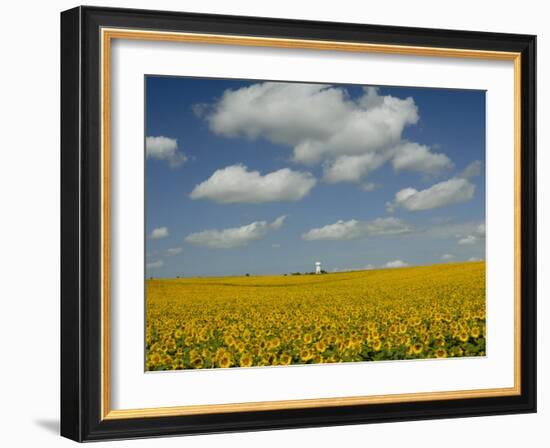 Field of Sunflowers with Water Tower in Distance, Charente, France, Europe-Groenendijk Peter-Framed Photographic Print