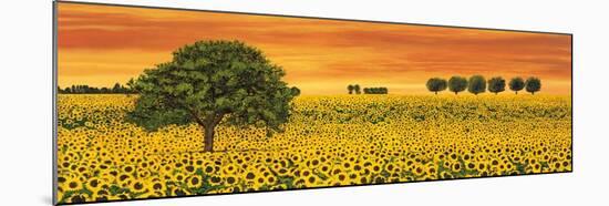 Field of Sunflowers-Richard Leblanc-Mounted Art Print