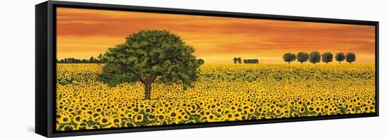 Field of Sunflowers-Richard Leblanc-Framed Stretched Canvas