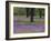 Field of Texas Blue Bonnets, Phlox and Oak Trees, Devine, Texas, USA-Darrell Gulin-Framed Photographic Print