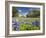 Field of Texas Bluebonnets and Oak Trees, Texas Hill Country, Usa-Julie Eggers-Framed Photographic Print