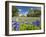 Field of Texas Bluebonnets and Oak Trees, Texas Hill Country, Usa-Julie Eggers-Framed Photographic Print