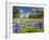 Field of Texas Bluebonnets and Oak Trees, Texas Hill Country, Usa-Julie Eggers-Framed Photographic Print