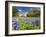 Field of Texas Bluebonnets and Oak Trees, Texas Hill Country, Usa-Julie Eggers-Framed Photographic Print