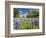 Field of Texas Bluebonnets and Oak Trees, Texas Hill Country, Usa-Julie Eggers-Framed Photographic Print