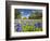 Field of Texas Bluebonnets and Oak Trees, Texas Hill Country, Usa-Julie Eggers-Framed Photographic Print