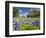 Field of Texas Bluebonnets and Oak Trees, Texas Hill Country, Usa-Julie Eggers-Framed Photographic Print