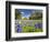 Field of Texas Bluebonnets and Oak Trees, Texas Hill Country, Usa-Julie Eggers-Framed Photographic Print