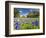 Field of Texas Bluebonnets and Oak Trees, Texas Hill Country, Usa-Julie Eggers-Framed Photographic Print