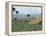 Field of Tobacco, Santiago, Dominican Republic, West Indies, Caribbean, Central America-Adam Woolfitt-Framed Premier Image Canvas