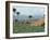 Field of Tobacco, Santiago, Dominican Republic, West Indies, Caribbean, Central America-Adam Woolfitt-Framed Photographic Print