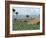 Field of Tobacco, Santiago, Dominican Republic, West Indies, Caribbean, Central America-Adam Woolfitt-Framed Photographic Print