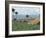 Field of Tobacco, Santiago, Dominican Republic, West Indies, Caribbean, Central America-Adam Woolfitt-Framed Photographic Print