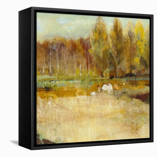 Field of Trees-Jill Martin-Framed Stretched Canvas