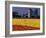 Field of Tulips and Barn with Silos, Skagit Valley, Washington, USA-William Sutton-Framed Photographic Print