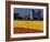 Field of Tulips and Barn with Silos, Skagit Valley, Washington, USA-William Sutton-Framed Photographic Print