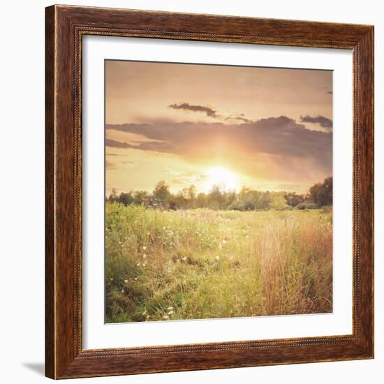 Field of Warmth Square-Kelly Poynter-Framed Photographic Print