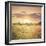 Field of Warmth Square-Kelly Poynter-Framed Photographic Print