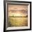 Field of Warmth Square-Kelly Poynter-Framed Photographic Print