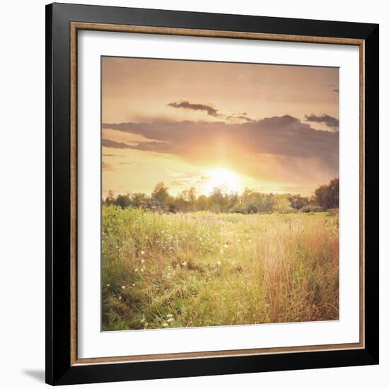 Field of Warmth Square-Kelly Poynter-Framed Photographic Print