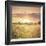 Field of Warmth Square-Kelly Poynter-Framed Photographic Print