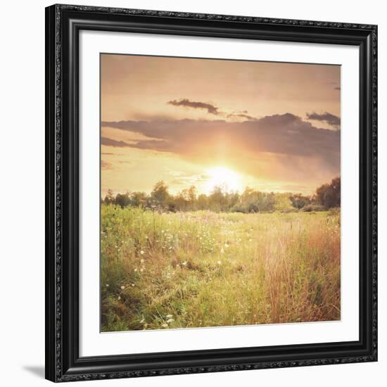 Field of Warmth Square-Kelly Poynter-Framed Photographic Print