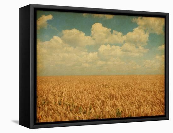 Field of Wheat with Sunflowers-A_nella-Framed Premier Image Canvas