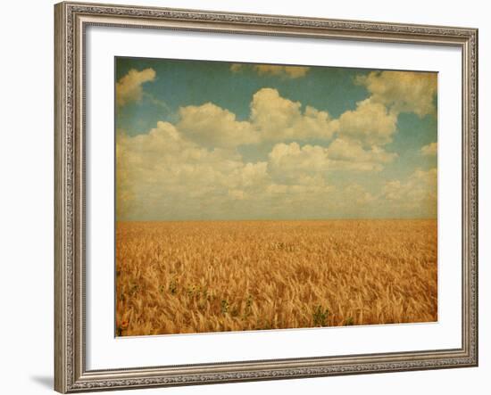 Field of Wheat with Sunflowers-A_nella-Framed Photographic Print