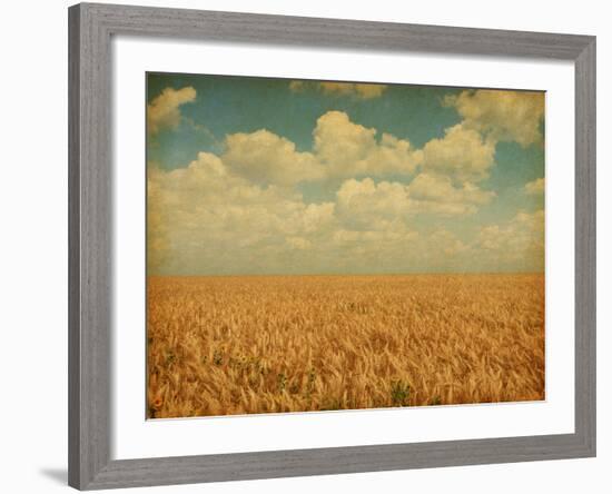 Field of Wheat with Sunflowers-A_nella-Framed Photographic Print