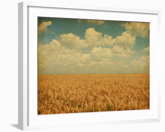 Field of Wheat with Sunflowers-A_nella-Framed Photographic Print