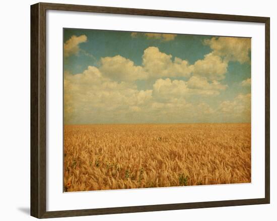 Field of Wheat with Sunflowers-A_nella-Framed Photographic Print