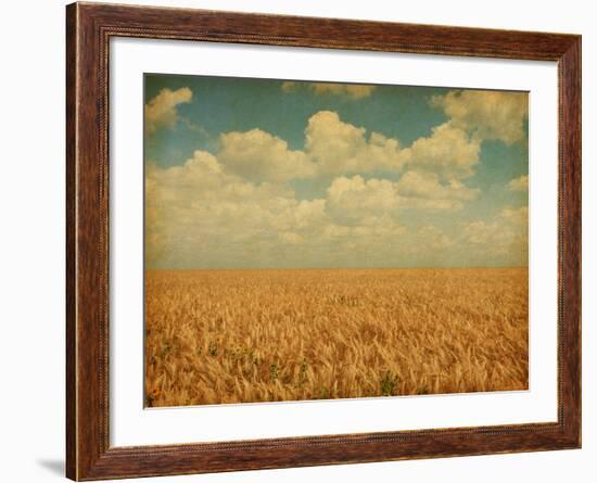 Field of Wheat with Sunflowers-A_nella-Framed Photographic Print