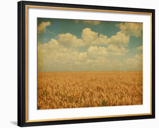 Field of Wheat with Sunflowers-A_nella-Framed Photographic Print