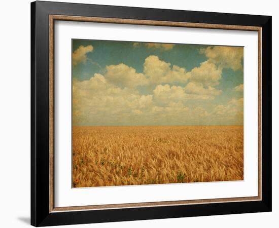 Field of Wheat with Sunflowers-A_nella-Framed Photographic Print