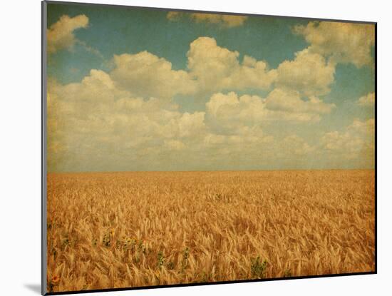 Field of Wheat with Sunflowers-A_nella-Mounted Photographic Print