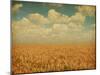 Field of Wheat with Sunflowers-A_nella-Mounted Photographic Print