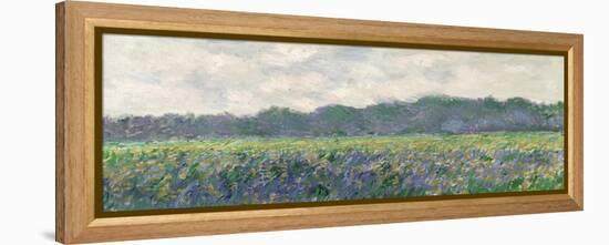 Field of Yellow Irises at Giverny, 1887-Claude Monet-Framed Premier Image Canvas