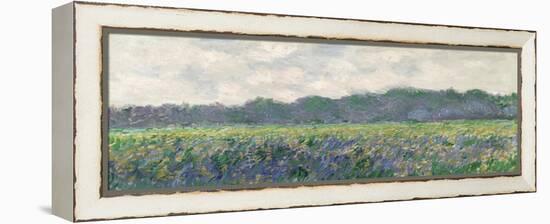 Field of Yellow Irises at Giverny, 1887-Claude Monet-Framed Premier Image Canvas