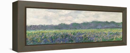 Field of Yellow Irises at Giverny, 1887-Claude Monet-Framed Premier Image Canvas