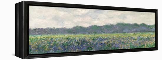 Field of Yellow Irises at Giverny, 1887-Claude Monet-Framed Premier Image Canvas