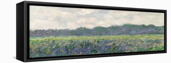 Field of Yellow Irises at Giverny, 1887-Claude Monet-Framed Premier Image Canvas