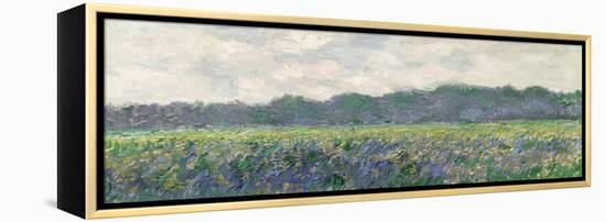 Field of Yellow Irises at Giverny, 1887-Claude Monet-Framed Premier Image Canvas