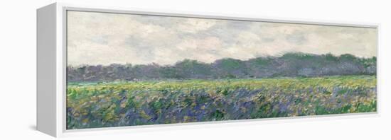 Field of Yellow Irises at Giverny, 1887-Claude Monet-Framed Premier Image Canvas