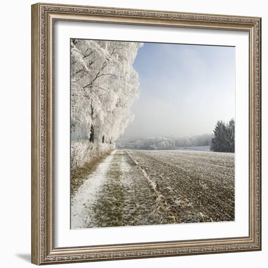 Field Scenery, Wood, Hoarfrost-Roland T.-Framed Photographic Print